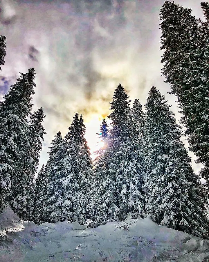 Appartement Studio Avoriaz 0*,  Frankreich